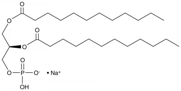 1,2-Dilauroyl-sn-glycero-3-PA (sodium salt)