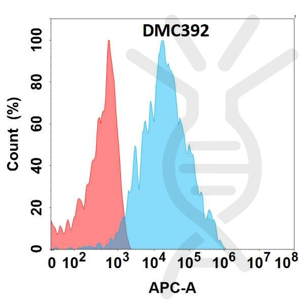 Anti-B4GALT1 antibody(DMC392), IgG1 Chimeric mAb
