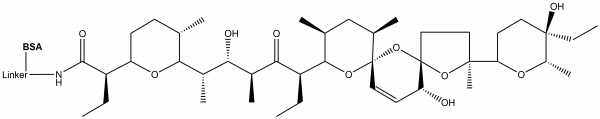 Salinomycin-BSA conjugate