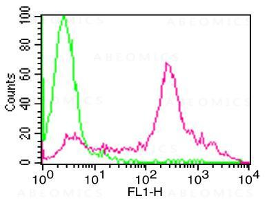 Anti-hPD-L1 FITC conjugated (Clone: ABM5F25)