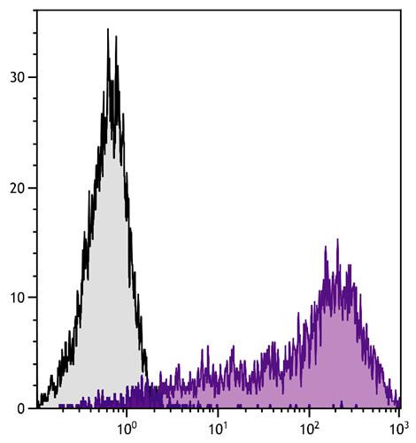 Anti-Ly6A/E, clone D7
