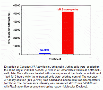 Cell Meter(TM) Caspase 3/7 Activity Apoptosis Assay Kit (Red Fluorescence)