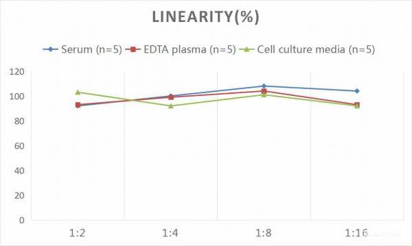Human ANGPT4 (Angiopoietin 4) CLIA Kit