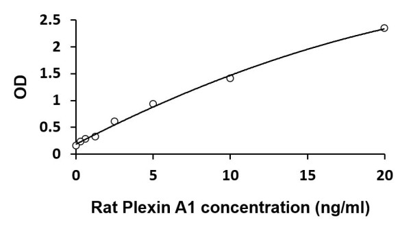 Rat Plexin A1 ELISA Kit