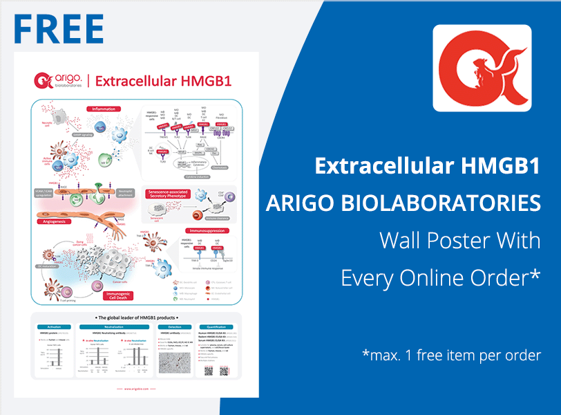 Extracellular HMGB1 Poster