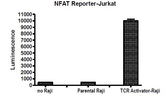 TCR Activator - Raji Cell Line