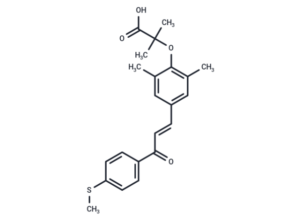 Elafibranor