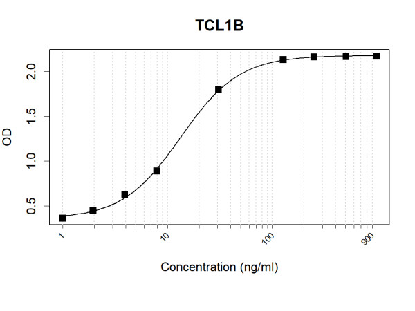 Anti-Human TCL1B Antibody Pair