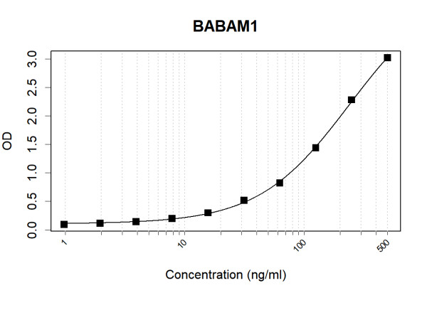 Anti-Human BABAM1 Antibody Pair