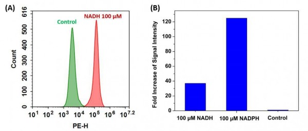 Cell Meter(TM) Intracelluar NADH/NADPH Flow Cytometric Analysis Kit