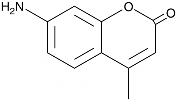 7-Amino-4-methylcoumarin