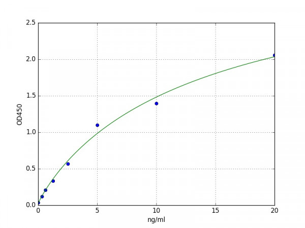 Human CAPN1 / calpain 1 ELISA Kit