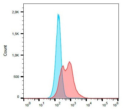 Anti-CD41 / Platelet GPIIb, clone MWReg30 (PE )