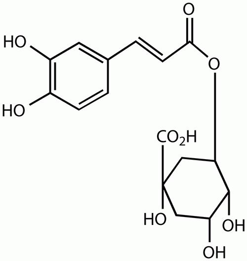 Chlorogenic Acid (from Lonicera)