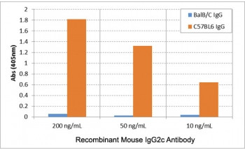 Anti-Mouse IgG2c, clone RM223