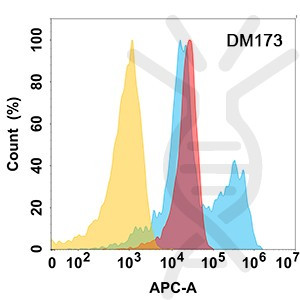 Anti-B7-H6 antibody(DM173), Rabbit mAb