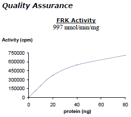 FRK, active human recombinant protein