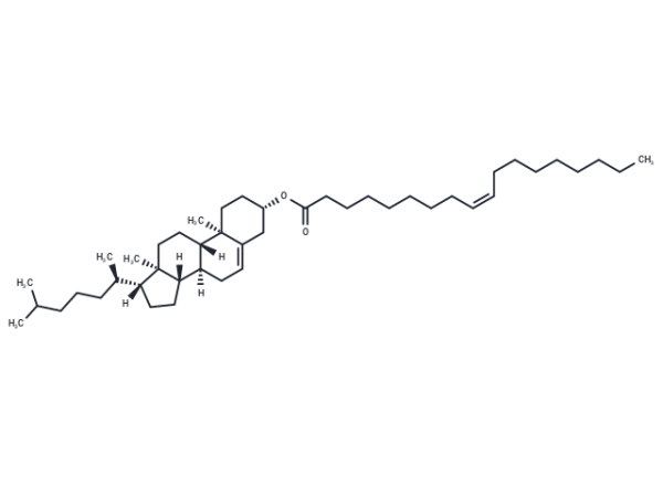 Cholesteryl oleate