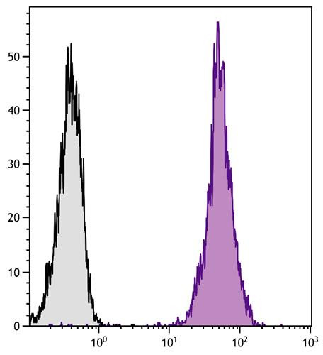 Anti-CD45 (PE), clone F10-89-4