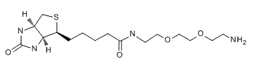 Biotin-PEG2-Amine