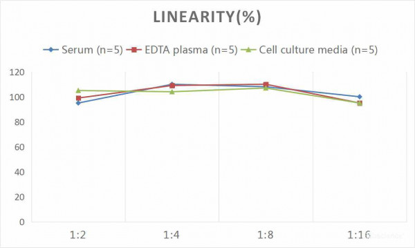 Human IL-6 (Interleukin 6) CLIA Kit