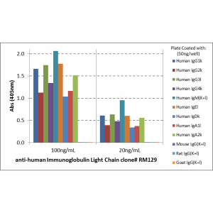 Anti-Ig Light Chains (human), Rabbit Monoclonal (RM129)
