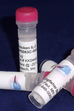 Interleukin-2, chicken recombinant (rchIL-2)