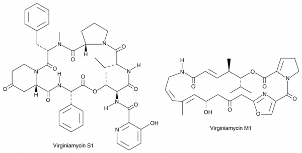 Virginiamycin Complex