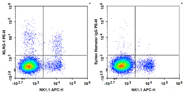 Anti-Human/Mouse KLRG-1, PE conjugated, clone 2F1