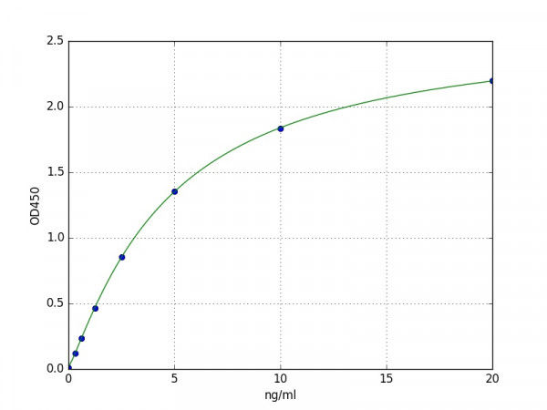 Human CCR5 / CD195 ELISA Kit