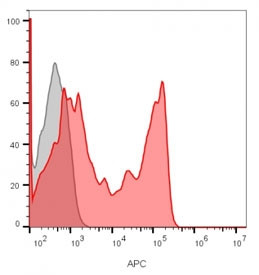 Anti-CD8A, clone C8/1035