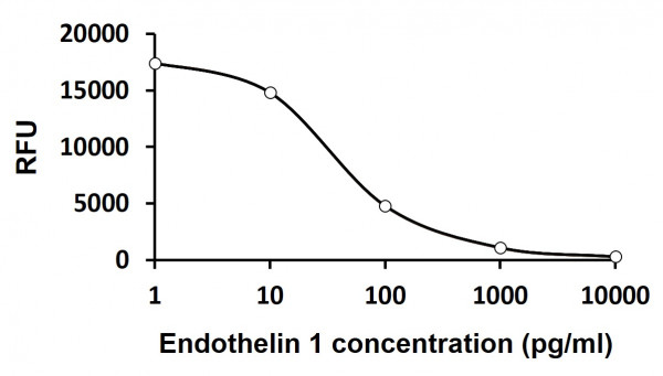 Endothelin 1 ELISA Kit (Fluorometric)