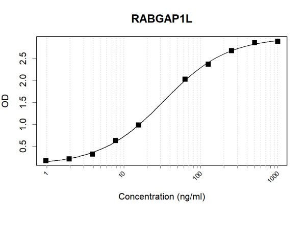 Anti-Human RABGAP1L Antibody Pair