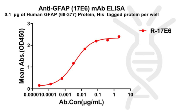 Anti-GFAP(68-377) antibody(17E6), Rabbit mAb