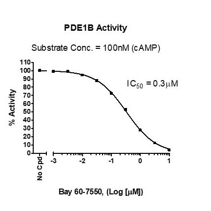 PDE1B assay kit