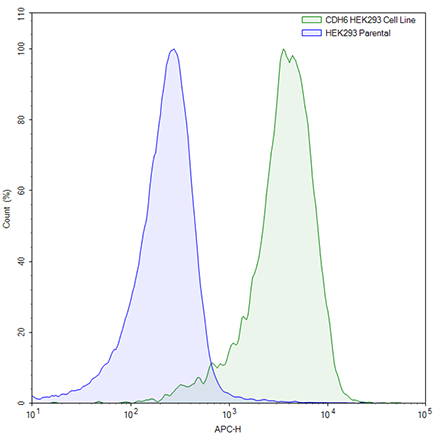 FluoSite Anti-CDH6, APC Labeled