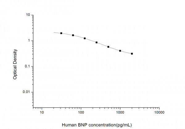 Human BNP (Brain Natriuretic Peptide) ELISA Kit