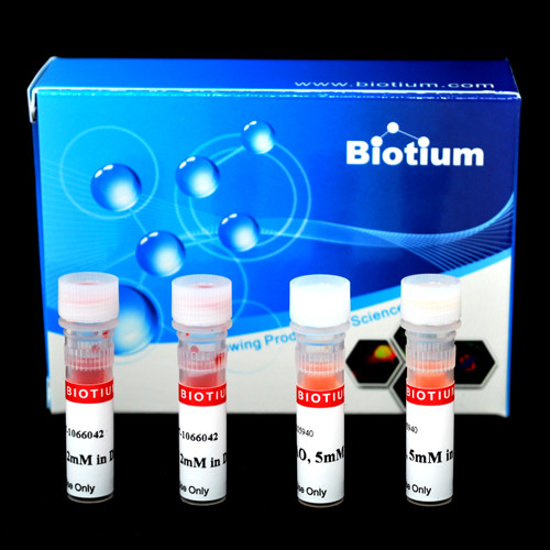 Viability/Cytotoxicity Assay kit for Bacteria Live and Dead Cells