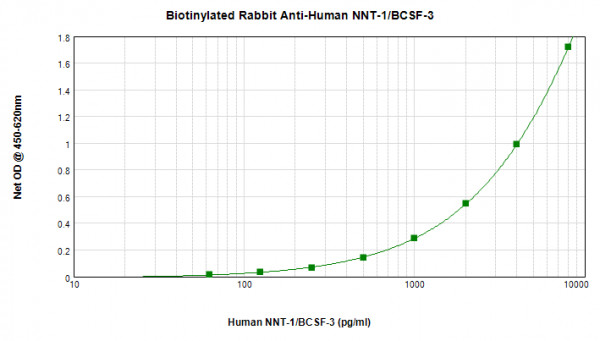 Anti-NNT1 (Biotin)