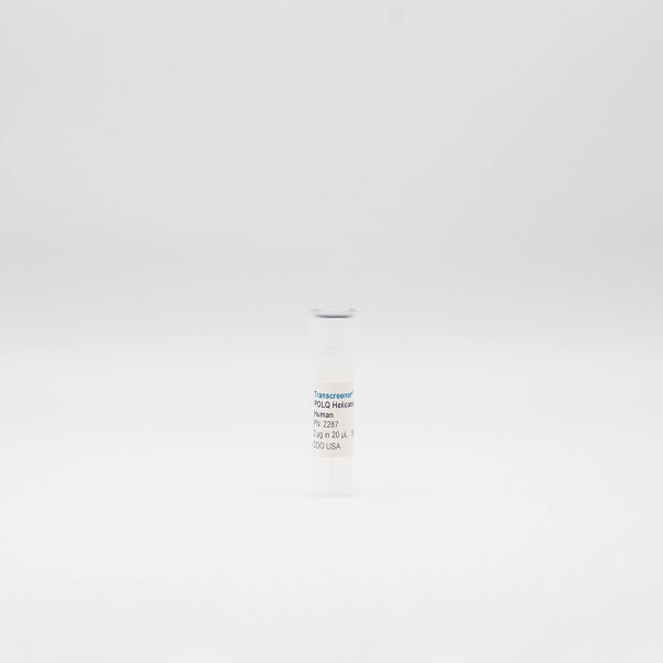 Recombinant POLQ ATPase Enzyme, Active, Human