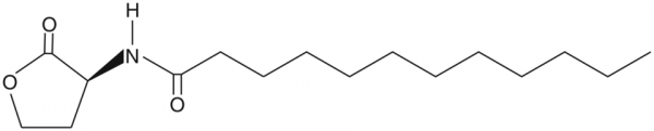 N-dodecanoyl-L-Homoserine lactone