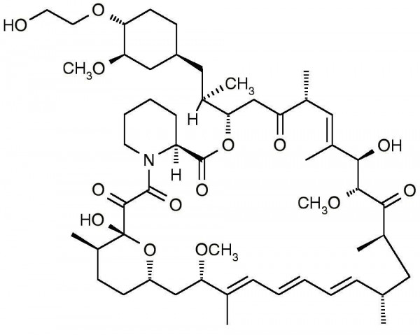 Everolimus