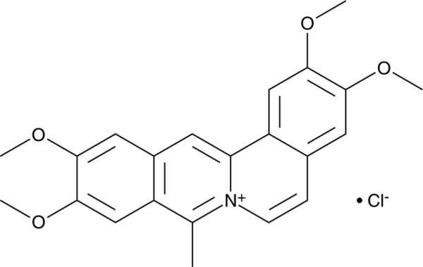 Coralyne (chloride)
