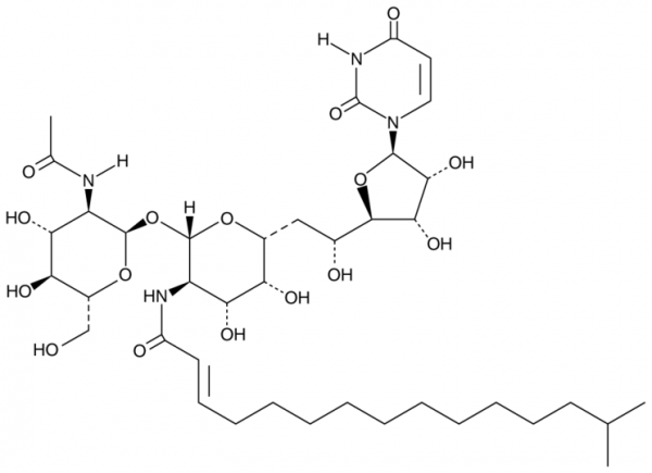 Tunicamycin 16:1 Mixture