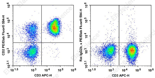Anti-CD2 Antibody[LO-CD2a]