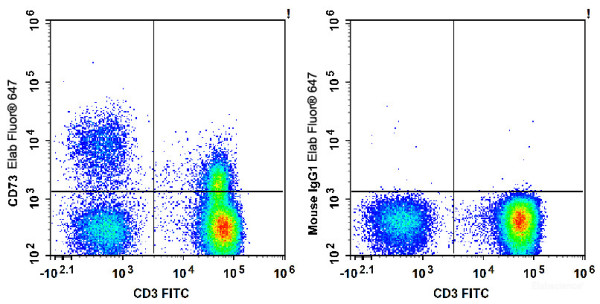 Anti-Human CD73, Elab Fluor(R) 647 conjugated, clone AD2