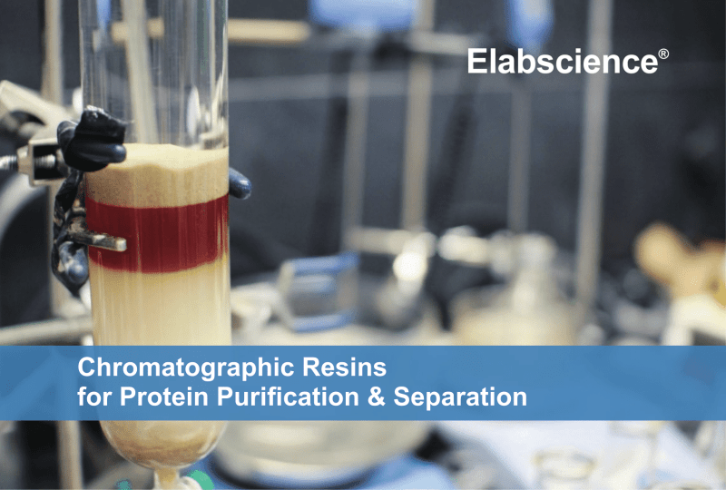 Chromatographic Resins for Protein Purification & Separation