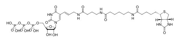 Biotin-16-UTP