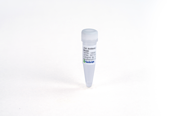 SCC (SC9), mAb, Mouse