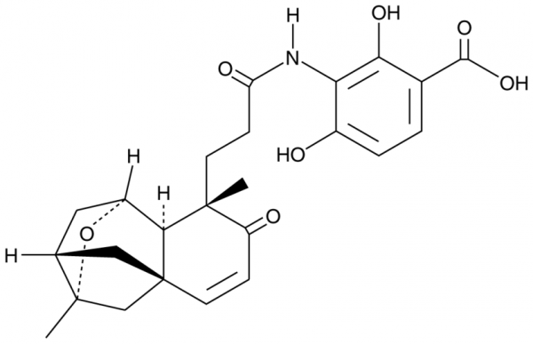 Platensimycin